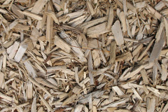 biomass boilers Loandhu